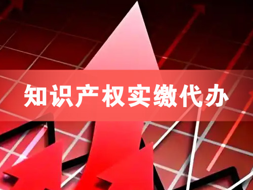 滁州知识产权实缴资本代办